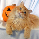 athenamcgonagall avatar