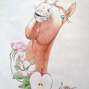 athenasadventures avatar