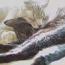 athomewithmargaery avatar