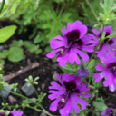 athousandhiddensecrets avatar