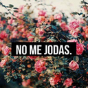 athousandmemoriesthings avatar