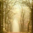 athuginacocktaildress avatar