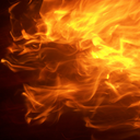 atlabookshelf avatar