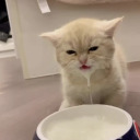 atlantafiveee avatar