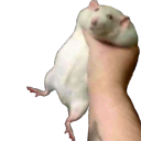 atlas-hyperfixes avatar