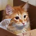 atlas-in-love avatar