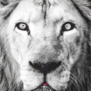 atlas-prodigy avatar