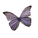 atlasburdenedarch avatar