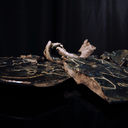 atlasthestargazer avatar