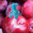 atma-demiurgo avatar