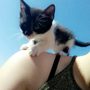 atokeletessegnepbetegseg avatar