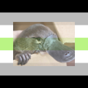 atomic-potato-salad avatar