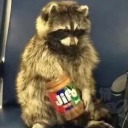 atomicluminaryexpert avatar