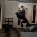 atomicpancake49 avatar