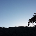 atphotoreblog avatar