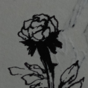 atrashcanraccoon avatar