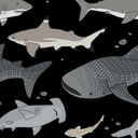 attacco-di-squalo avatar