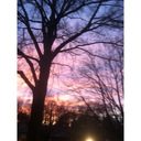 attack-on-otakus avatar