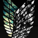 attack-on-titan-evreything avatar