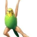 attackofthewolfking avatar