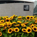 attemptataesthetic avatar