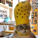 attenuationcoefficient avatar