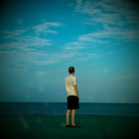 atthetopsoftrees avatar