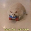 atticclubsandwichstan avatar