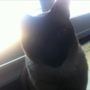 attitude-is-everythinngg avatar