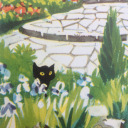 aubergineranger avatar