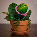 audrey-ii-fucks-shit-up avatar