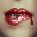 aufdenfluegelndernacht avatar