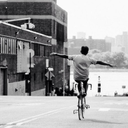 aufildesmotts avatar