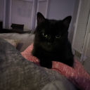 august-rose-22 avatar