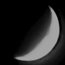 augustmoondragon avatar