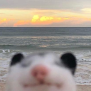 aunclesquishy avatar