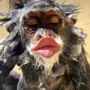 auperouavectintin avatar