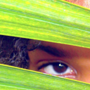 auriauniverse avatar