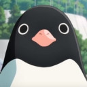 auropengu avatar