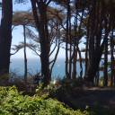 aurora-consurgens avatar