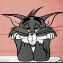 aurora-skiess avatar