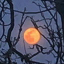 aurora1407sworld avatar