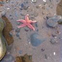 aurorabayaesthetic avatar