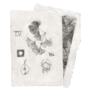 aurorashiftingstudio avatar