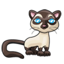 auscreenshots avatar