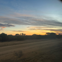 aussiegirl43xx avatar