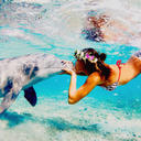 aussiemermaid-blog avatar