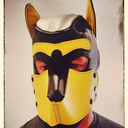 aussiewolfpup avatar