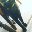 austintheslayer11712-blog avatar