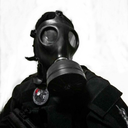 australopitecointrinsecoantilog avatar